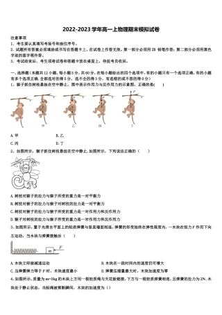 2022-2023学年浙江省温州市十五校联盟联合体物理高一上期末考试试题含解析
