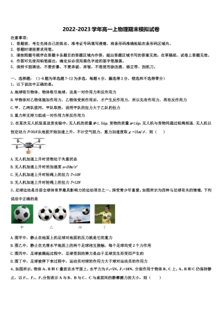 2023届广东省佛山市南海一中物理高一上期末质量跟踪监视试题含解析