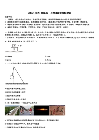 2023届辽宁沈阳市东北育才学校物理高一第一学期期末学业质量监测模拟试题含解析