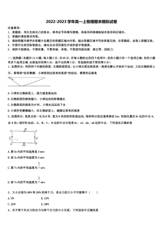 2023届安徽省毛坦厂中学物理高一第一学期期末检测模拟试题含解析