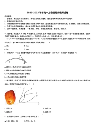 2023届安阳市第一中学物理高一上期末统考试题含解析