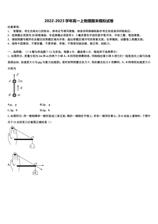 北京专家2022年物理高一上期末质量跟踪监视试题含解析