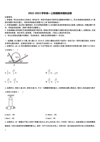 上海嘉定区外国语学校2022年物理高一第一学期期末达标检测试题含解析