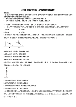 吉林市长春汽车经济开发区第六中学2022年物理高一第一学期期末联考试题含解析
