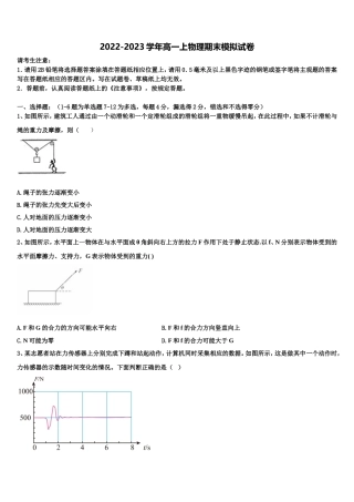 2023届湖北省武汉市华大新物理高一上期末联考试题含解析