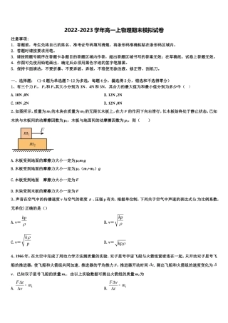 山东省九校2022年物理高一上期末复习检测模拟试题含解析