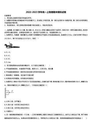 上海市华东师范大学二附中2022-2023学年物理高一上期末教学质量检测试题含解析