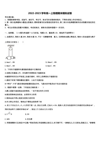 广东省深圳市罗湖外国语学校2022年物理高一上期末教学质量检测模拟试题含解析