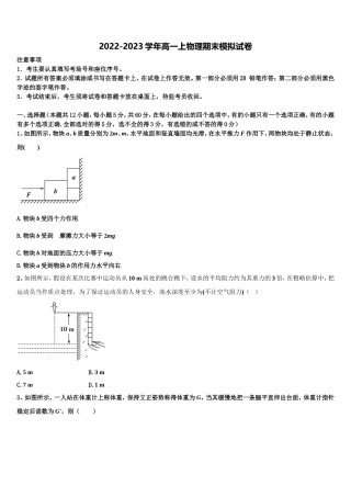 上海市上海外国语大学附属中学2022年物理高一第一学期期末检测试题含解析