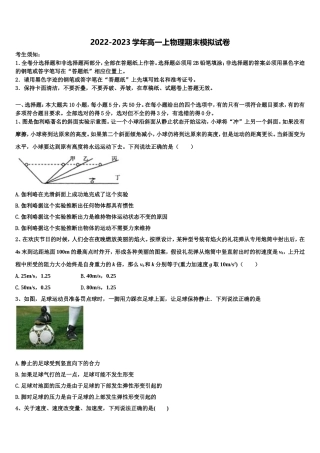 上海市育才中学2022年物理高一第一学期期末质量检测模拟试题含解析