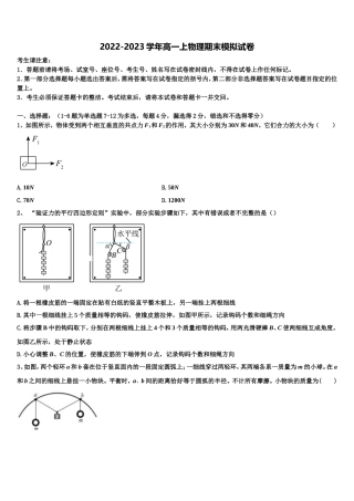 上海外国语大学附属中学2022年物理高一上期末检测模拟试题含解析