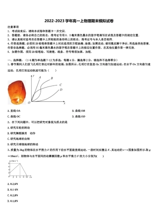 2023届上海市杨思高中物理高一上期末质量检测模拟试题含解析