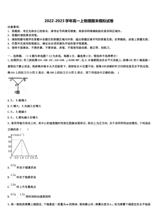 四川省仁寿县文宫中学2022-2023学年物理高一上期末统考试题含解析