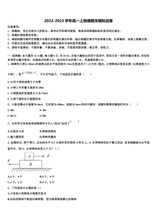 四川省攀枝花市2022年物理高一第一学期期末质量跟踪监视试题含解析