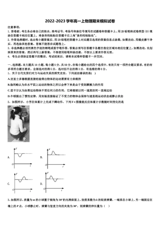 2023届云南省玉溪市元江一中高一物理第一学期期末经典模拟试题含解析