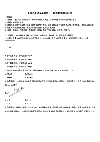 山东省泰安市新泰市第二中学2022年物理高一上期末质量跟踪监视试题含解析