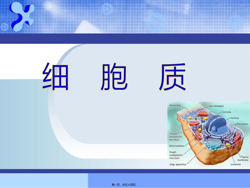 (细胞质)全解 生物教学课件_第1页