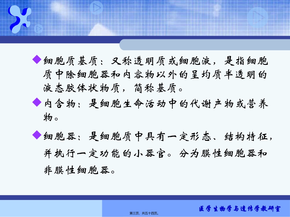 (细胞质)全解 生物教学课件_第3页