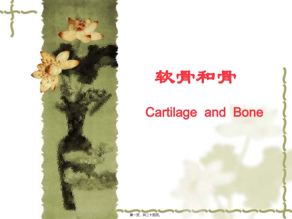 【组织学与胚胎学】软骨与骨 生物技术课程课件_第1页