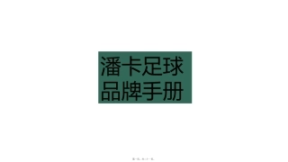 4s店球活动——潘卡足球 培训课件’