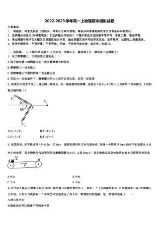 山东省文登第一中学2022年高一物理第一学期期末质量跟踪监视试题含解析
