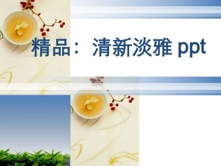 (精品)清新淡雅PPT整套模板