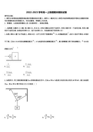 山东省枣庄现代实验学校2022-2023学年物理高一上期末复习检测模拟试题含解析
