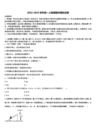 山东省淄博第十中学2022-2023学年物理高一上期末学业质量监测模拟试题含解析