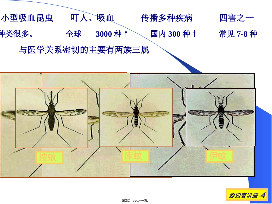 “除四害讲卫生”讲座课件_第3页