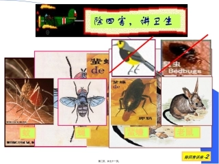 “除四害讲卫生”讲座课件