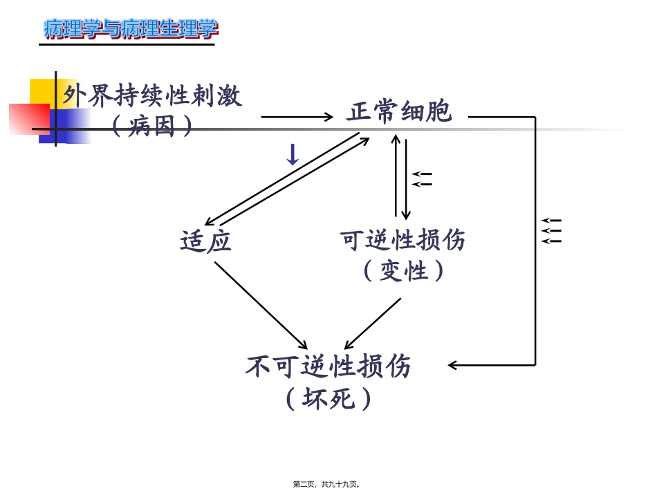 病理学课程 第二章-组织损伤与修复 医学教学课件_第2页