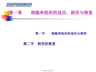 病理学课程 第二章-组织损伤与修复 医学教学课件