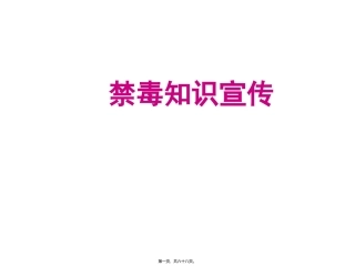 “禁毒”主题班会课件