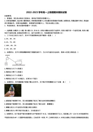 黔南市重点中学2022-2023学年物理高一上期末检测模拟试题含解析
