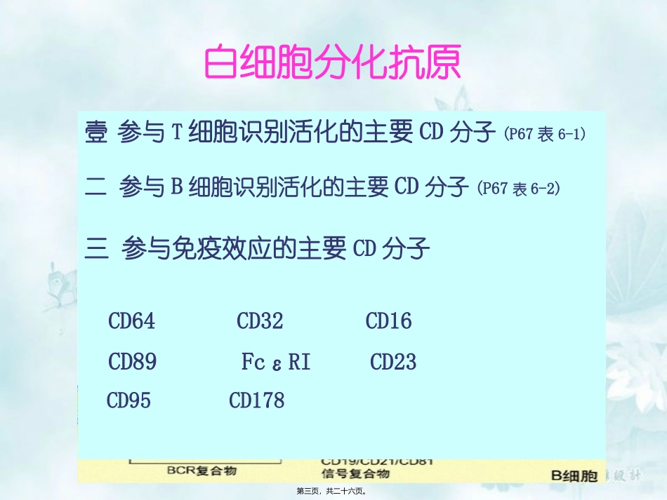 白细胞分化和粘附分子医学讲座教学课件_第3页