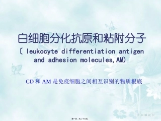 白细胞分化和粘附分子医学讲座教学课件