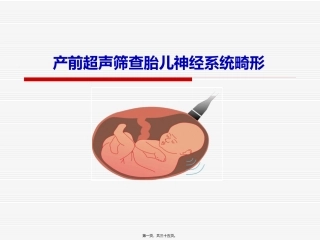 产前超声筛查胎儿神经系统畸形 培训课件