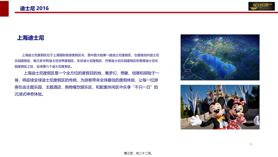 迪士尼主题-浦东星河湾三期交房活动0412_第3页