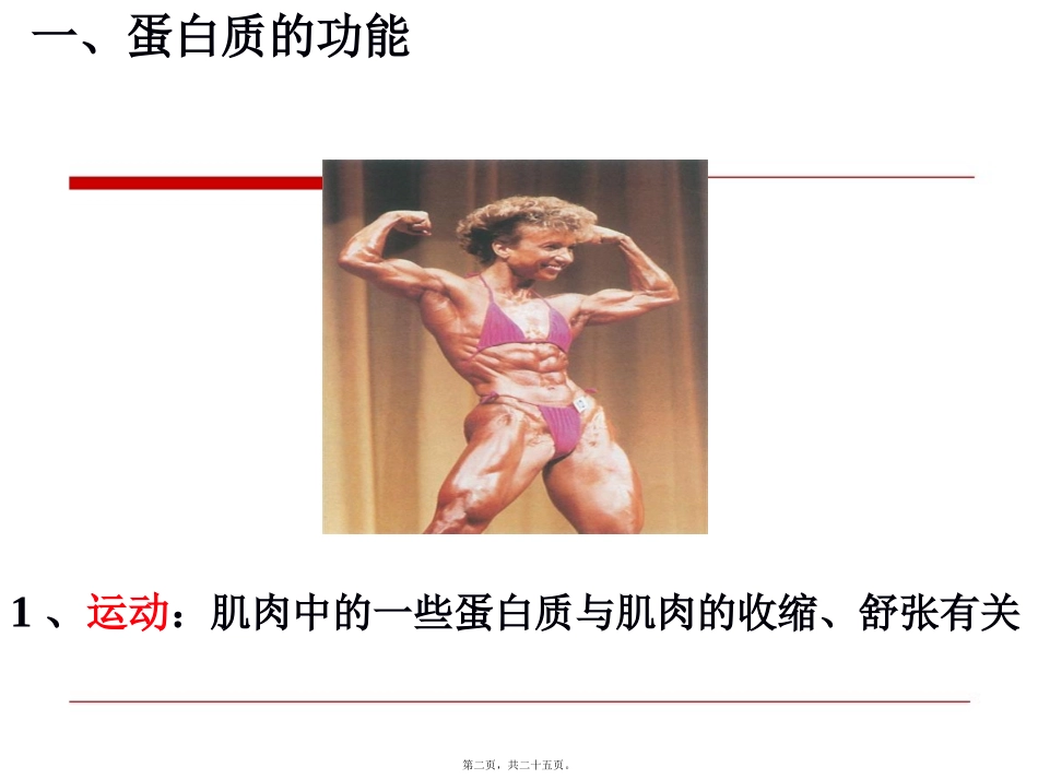 蛋白质的功能 教学课件_第2页