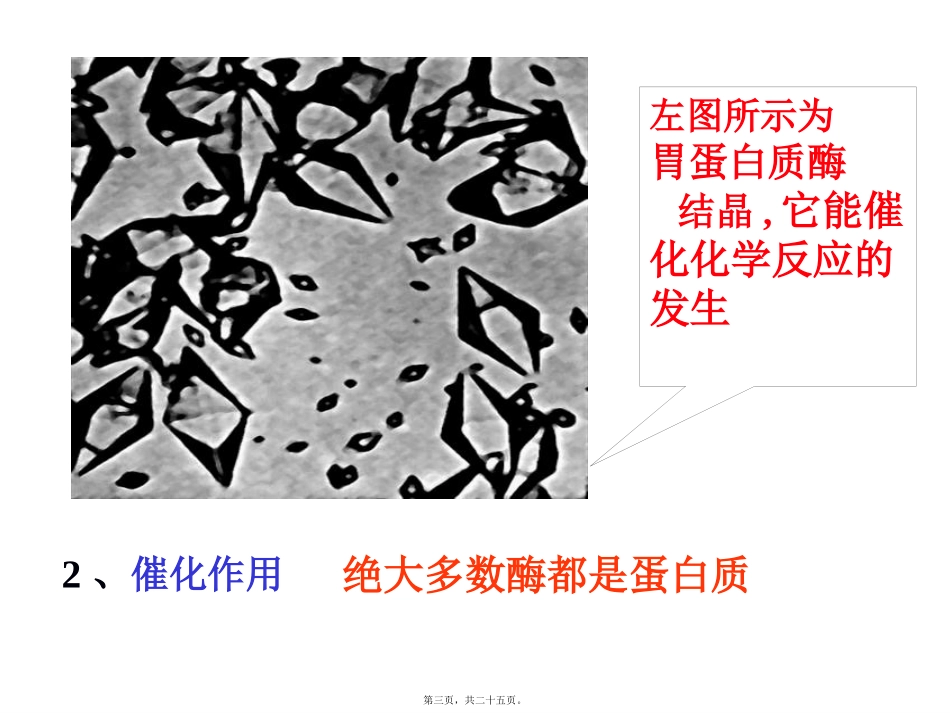 蛋白质的功能 教学课件_第3页