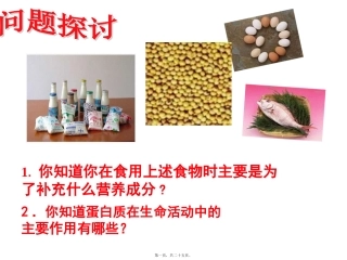 蛋白质的功能 教学课件