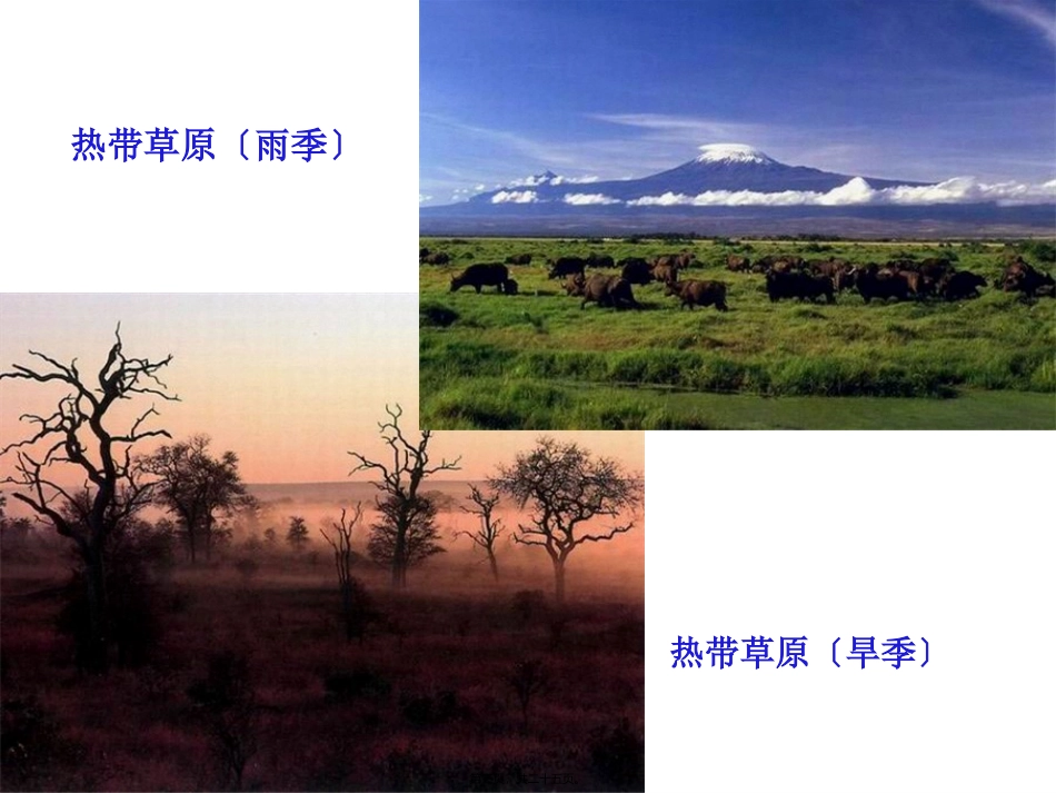 第5节 细胞中的无机物医学教学课件_第3页