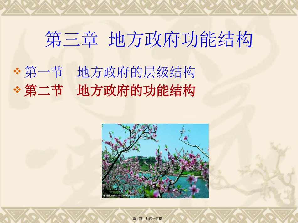 地方政府功能结构精讲_第1页