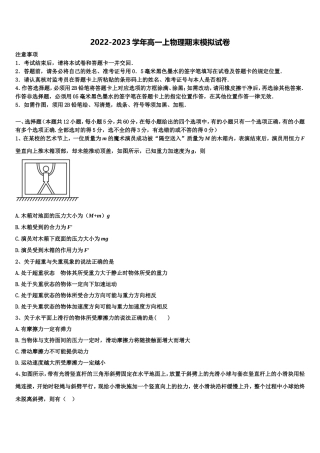 广西壮族自治区桂林市第十八中学2022-2023学年物理高一第一学期期末经典模拟试题含解析