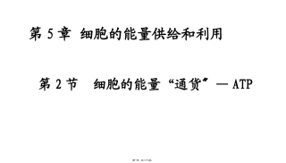 第5章 细胞的能量供给和利用第二节细胞的能量通货—ATP 教学额课件