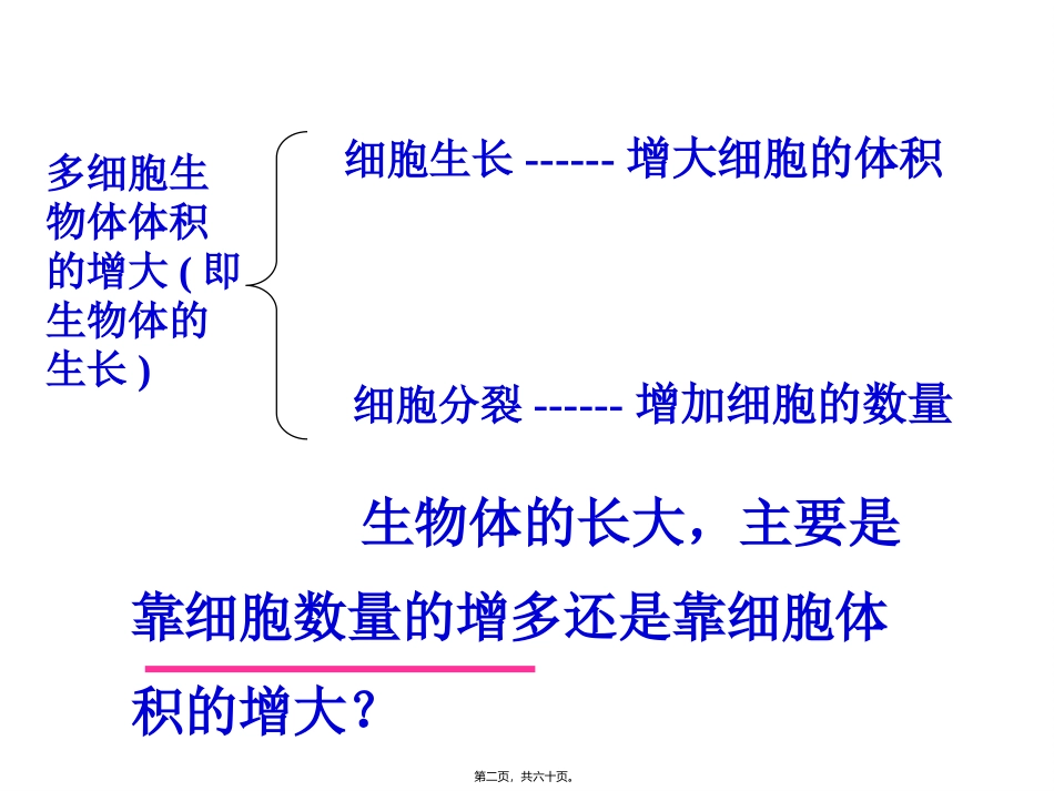 第6章  细胞的生命历程细胞增殖教学课件_第2页