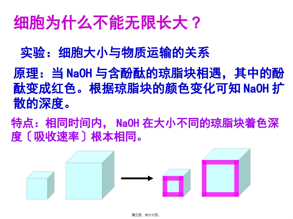 第6章  细胞的生命历程细胞增殖教学课件_第3页