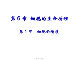 第6章  细胞的生命历程细胞增殖教学课件