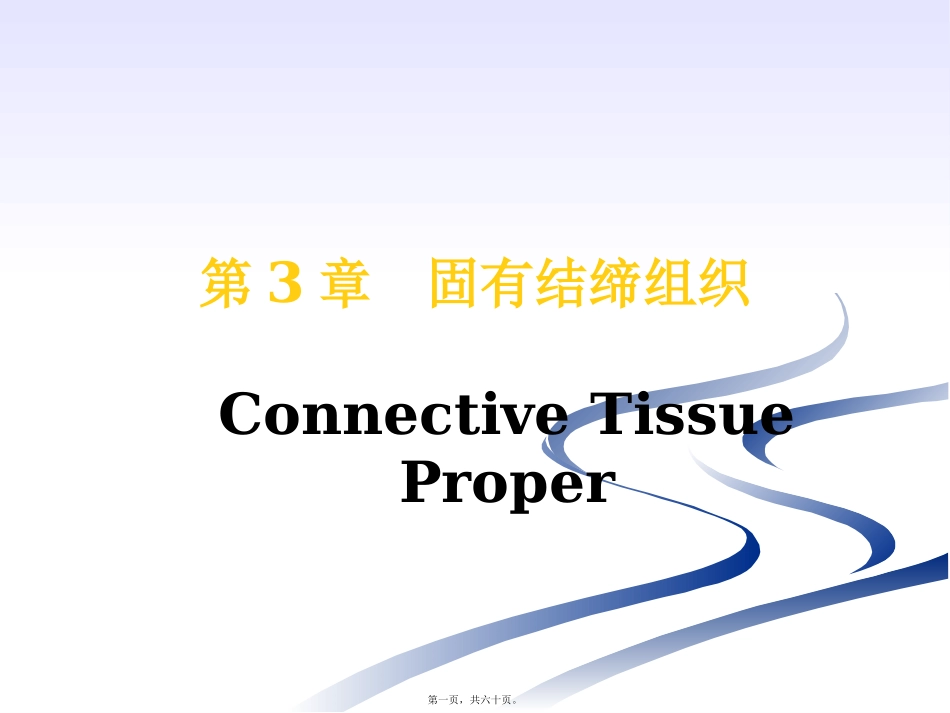 第3章  固有结缔组织 生物教学课件_第1页