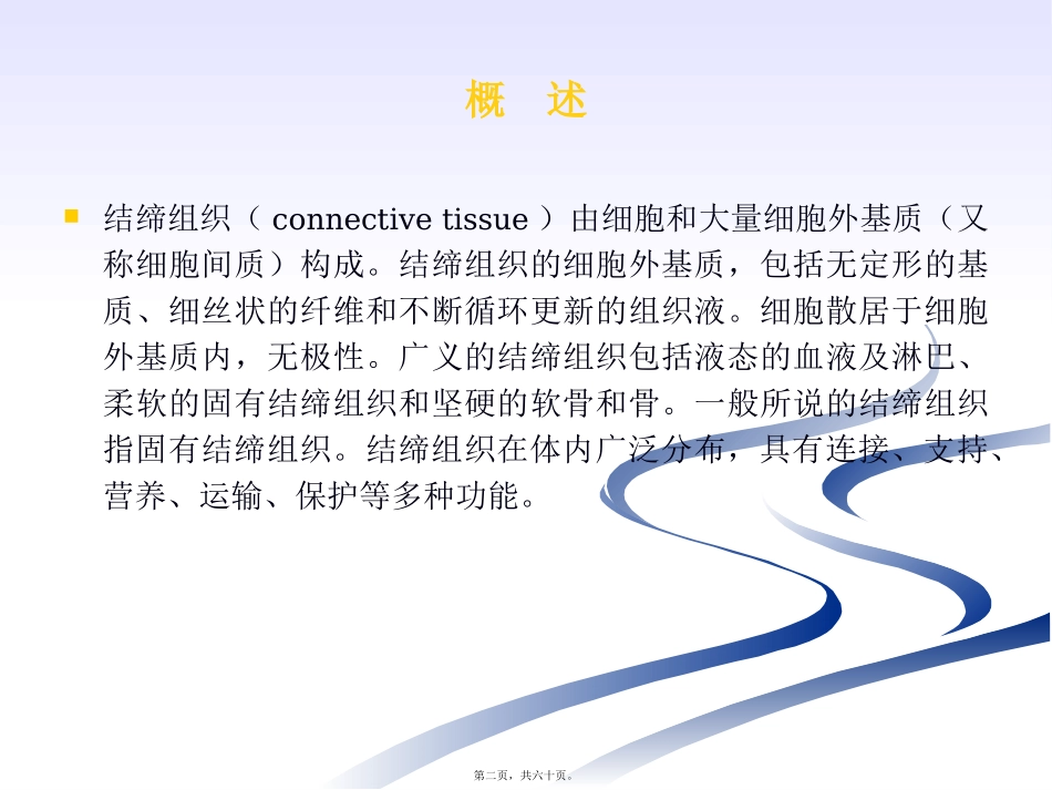 第3章  固有结缔组织 生物教学课件_第2页